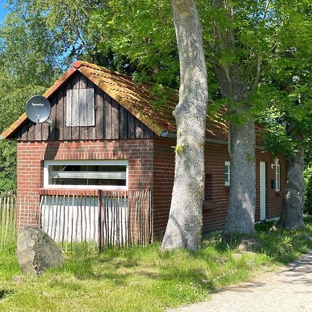 Hofgut Bisdamitz - Ferienhaus "Knoff" Eksteriør billede
