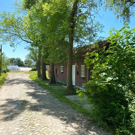 Hofgut Bisdamitz - Ferienhaus "Knoff" Eksteriør billede