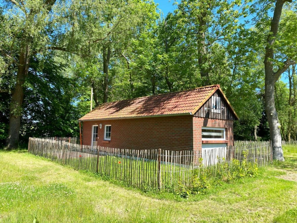 Hofgut Bisdamitz - Ferienhaus "Knoff" Eksteriør billede