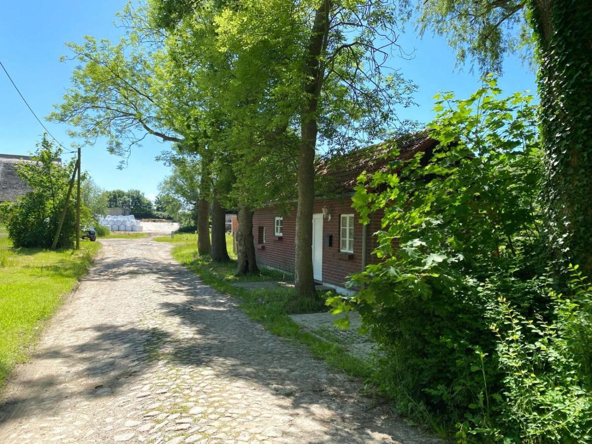Hofgut Bisdamitz - Ferienhaus "Knoff" Eksteriør billede