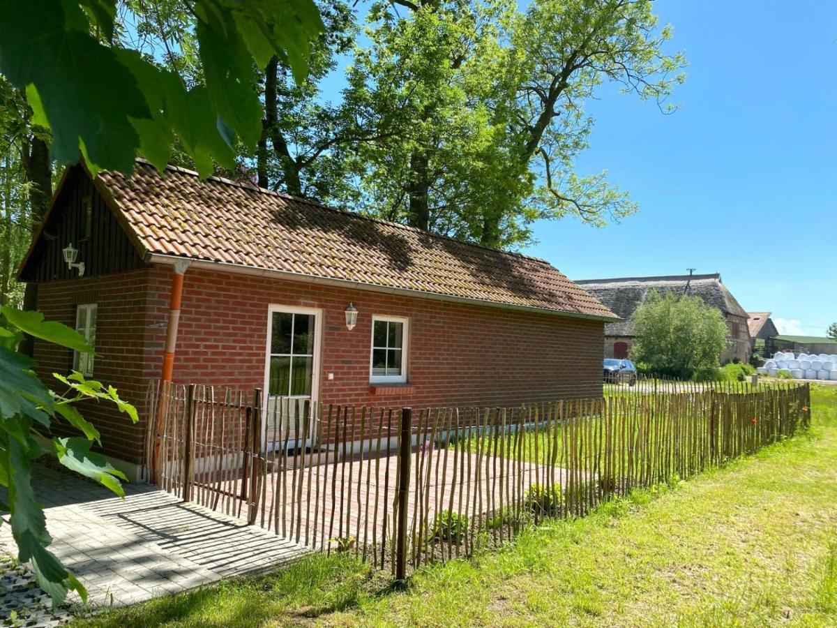 Hofgut Bisdamitz - Ferienhaus "Knoff" Eksteriør billede