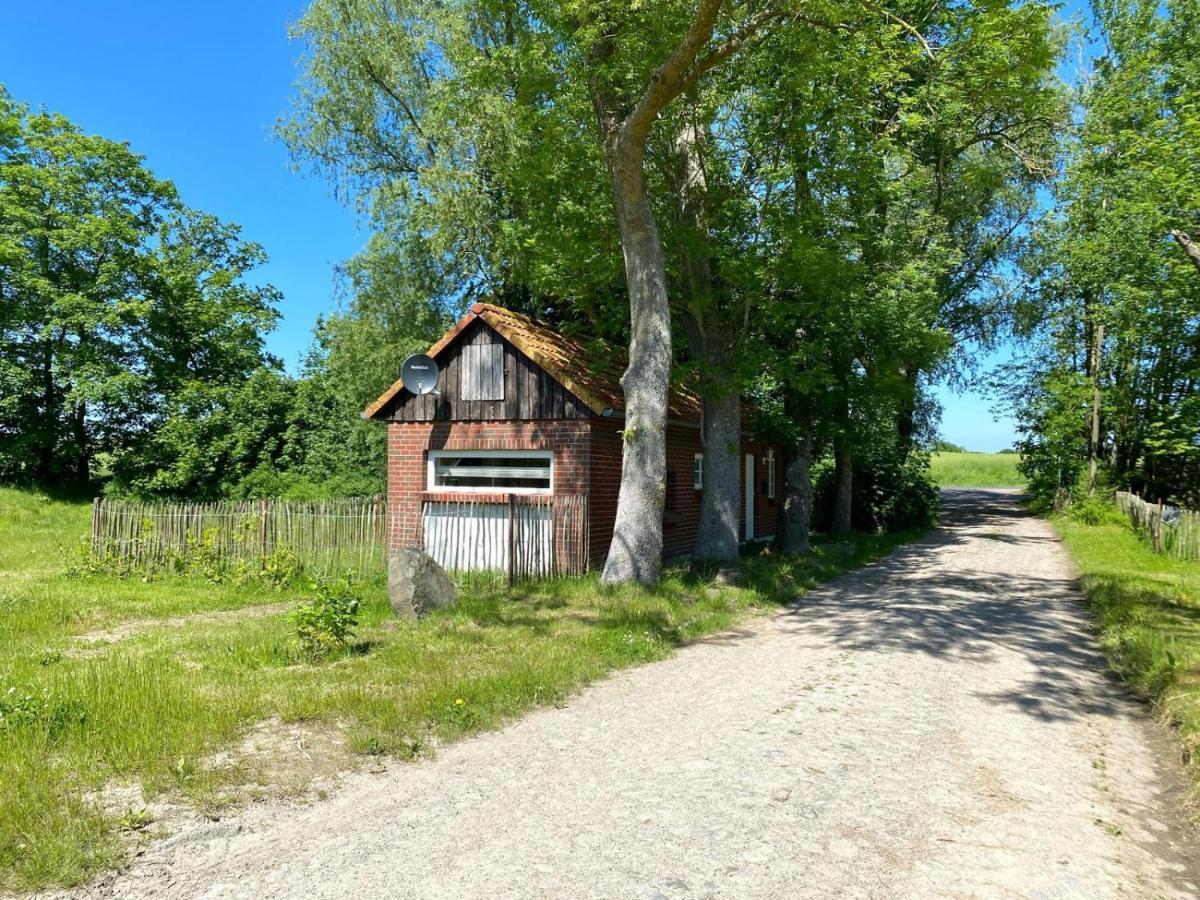 Hofgut Bisdamitz - Ferienhaus "Knoff" Eksteriør billede