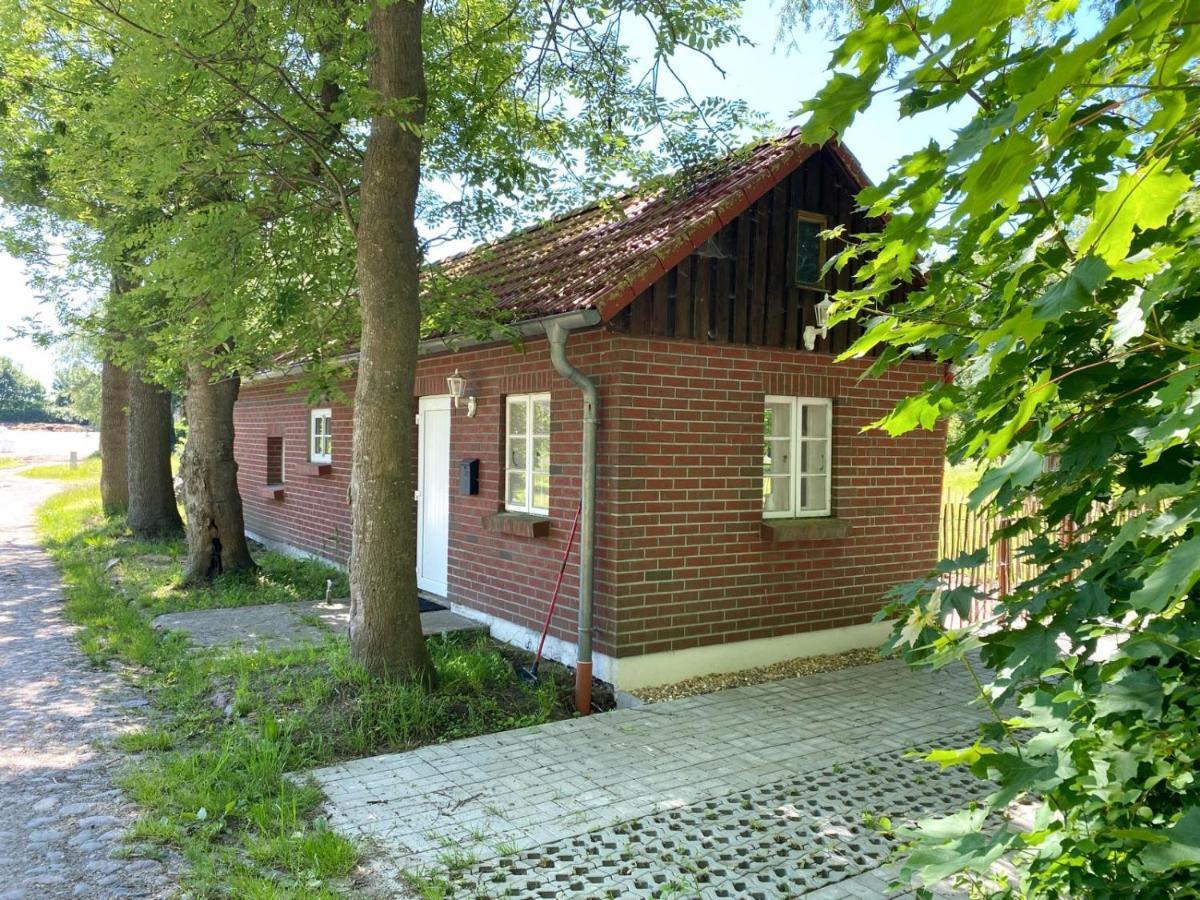 Hofgut Bisdamitz - Ferienhaus "Knoff" Eksteriør billede