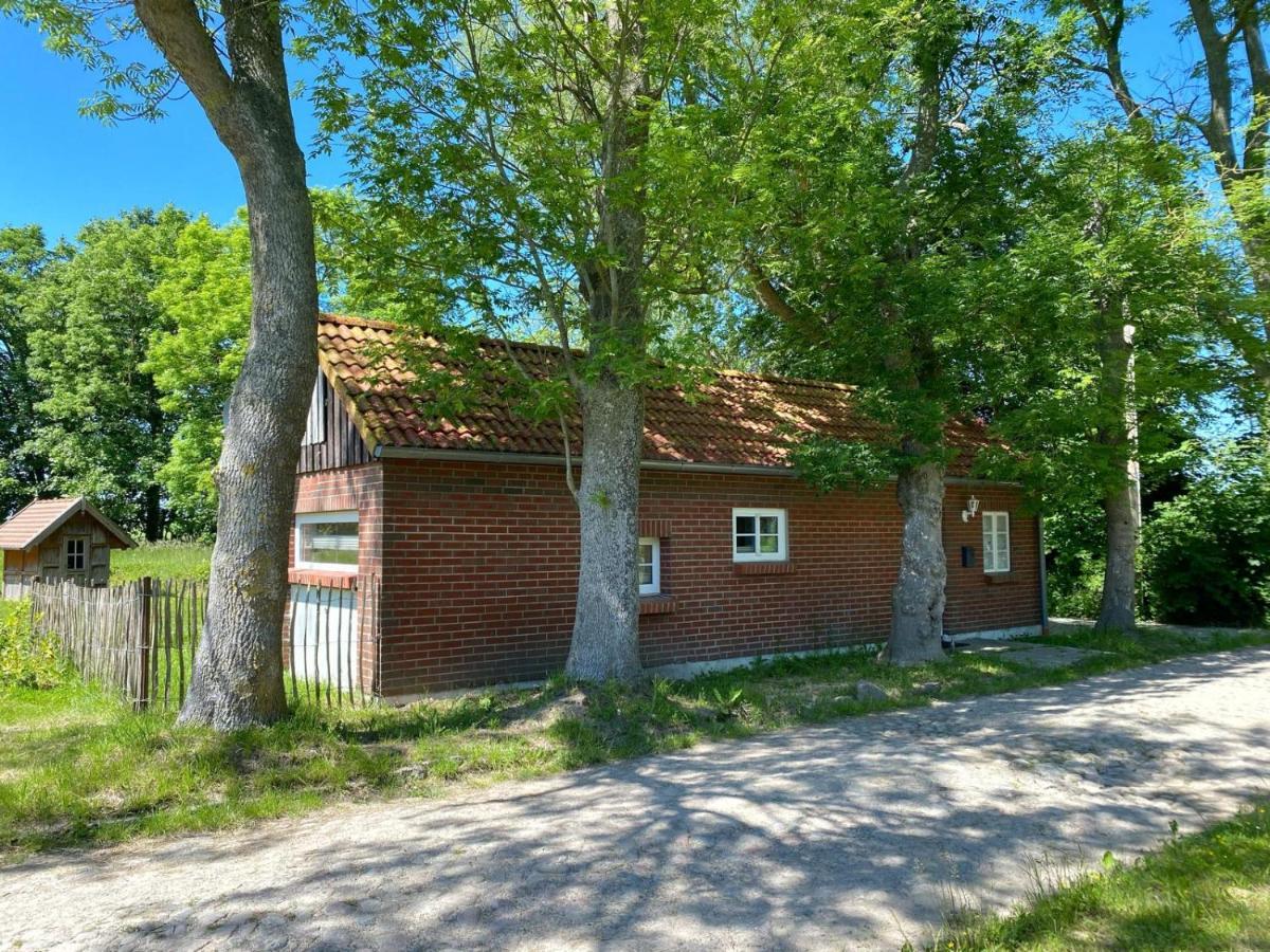 Hofgut Bisdamitz - Ferienhaus "Knoff" Eksteriør billede